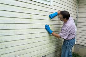 Affordable Siding Repair and Maintenance Services in Belleview, FL